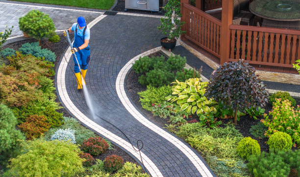 Roof Power Washing Services in East Berwick, PA